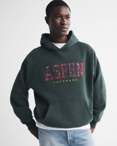 Aspen Graphic Popover Hoodie