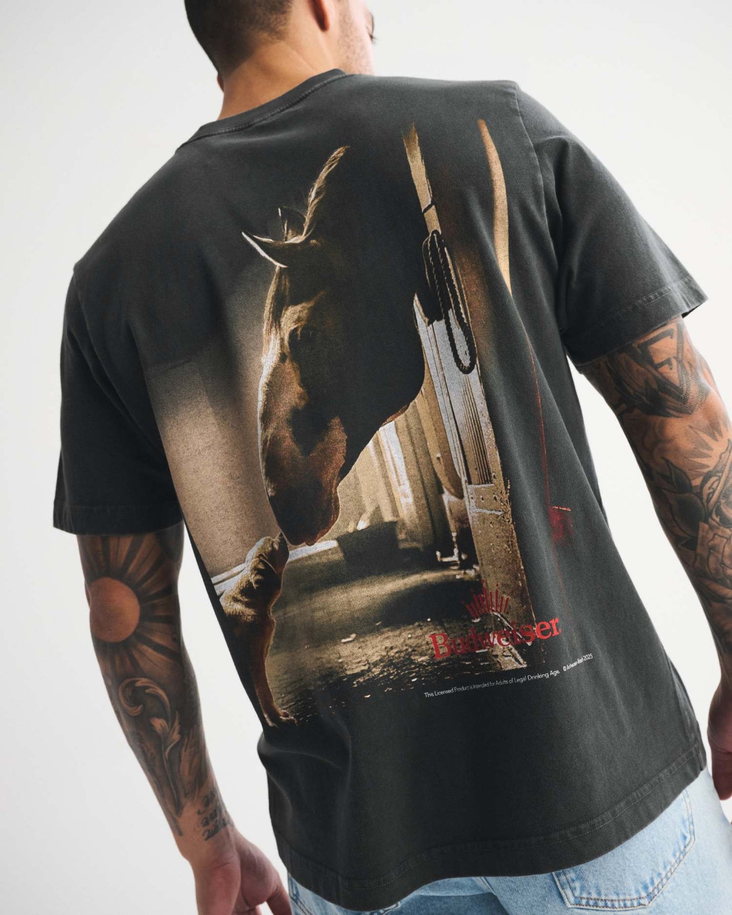 0100-ABE12352620050XS-2