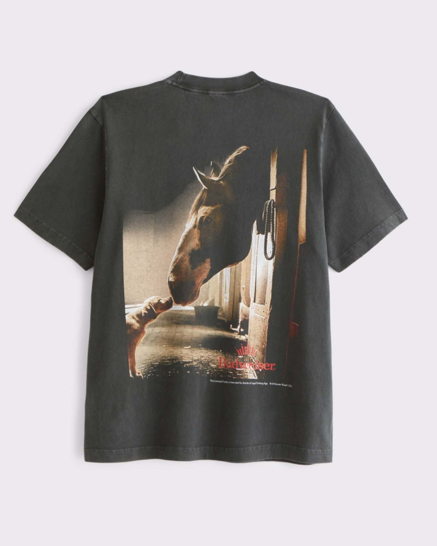 0100-ABE12352620050XS-6