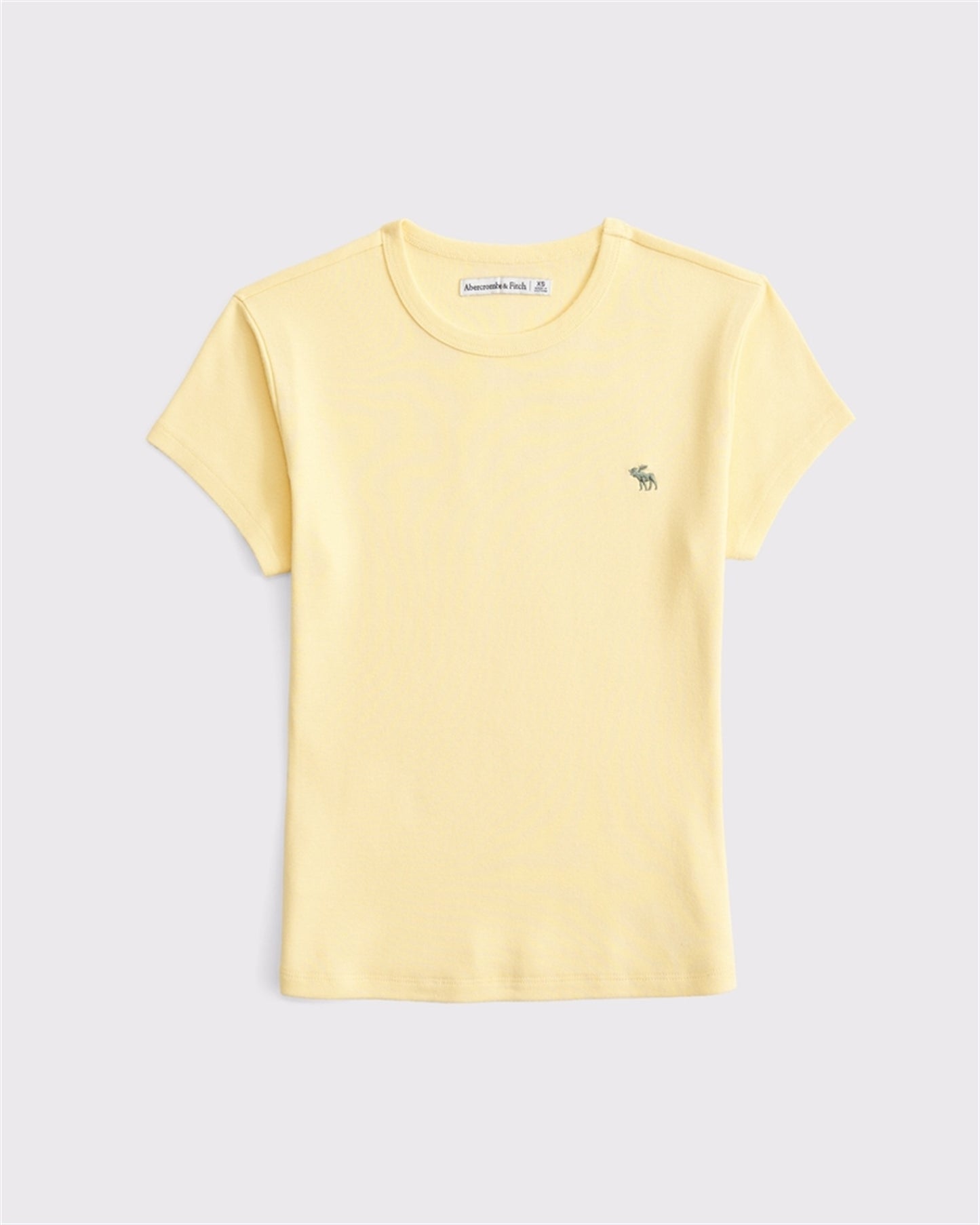 0100-ABE1396645SZ100L