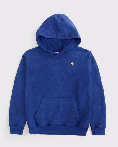 essential icon hoodie