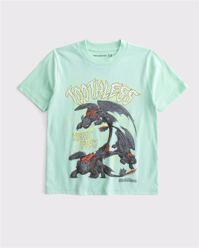 how to train your dragon graphic tee