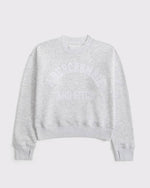 0100-ABK252510281J156